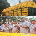 Collage_2026-04-01_08_28_21~2