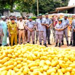 Ogun I Customs Confiscates ₦3.5BN Contraband, Hands Over 6,035 Parcels Of “Ghana Loud” To NDLEA In Massive Anti-Smuggling Sweep