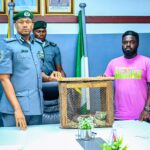 Ogun 1 Customs Intercepts 3 Live Pangolins In Daring Anti-Smuggling Operation